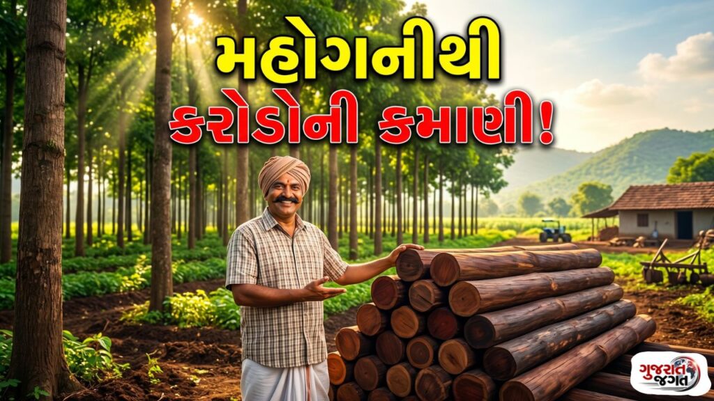 Mahogany Tree Farming: ખેડૂત ભાઈઓ! ખાલી જમીન છે તો આ ઝાડ વાવો, ઓછા ખર્ચે લાખોથી કરોડોની કમાણી કરો