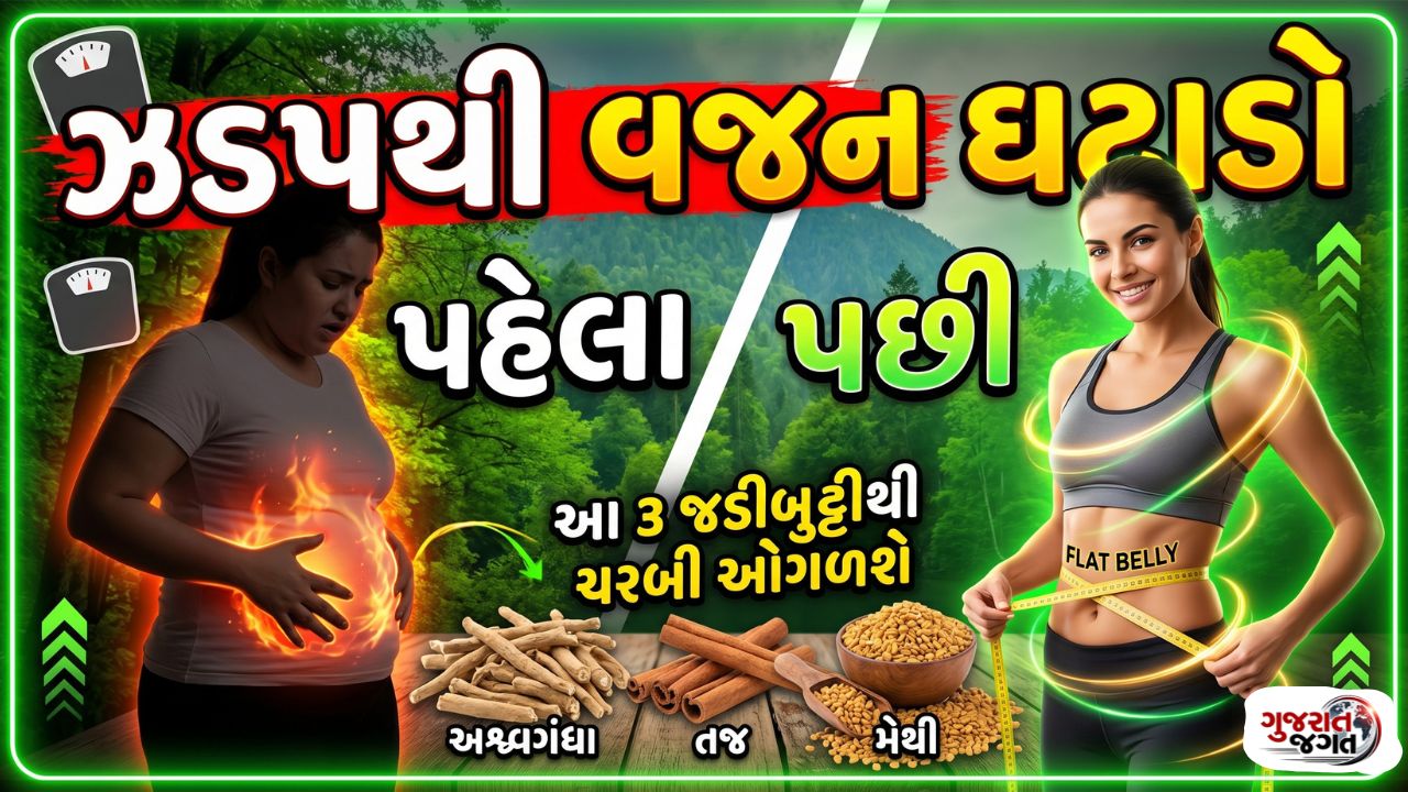 Herb For Weight Loss: વજન ઘટાડવા માટે આયુર્વેદિક જડીબુટ્ટી: કુદરતી અને સુરક્ષિત ઉપાય